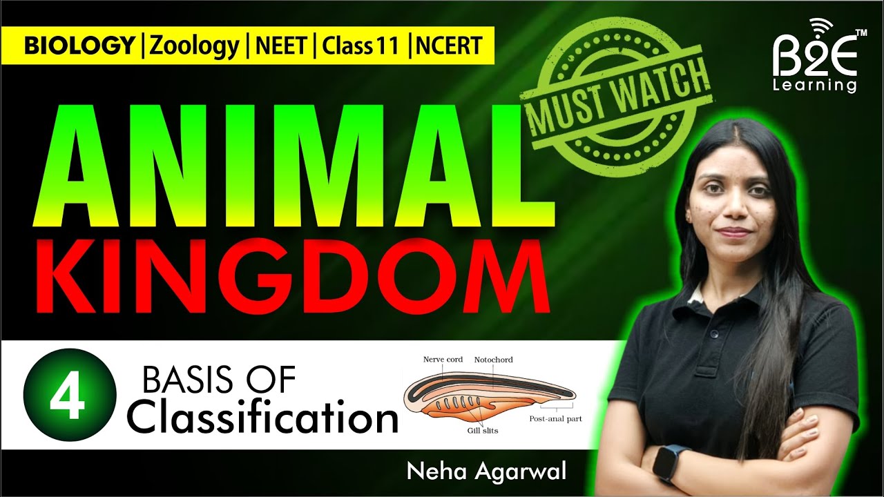 ANIMAL KINGDOM L4 | NCERT DECODED | NEET BIOLOGY | CHAPTER 04 | BASIS ...