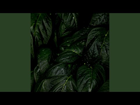 Watch Changes on YouTube Watch Changes on YouTube