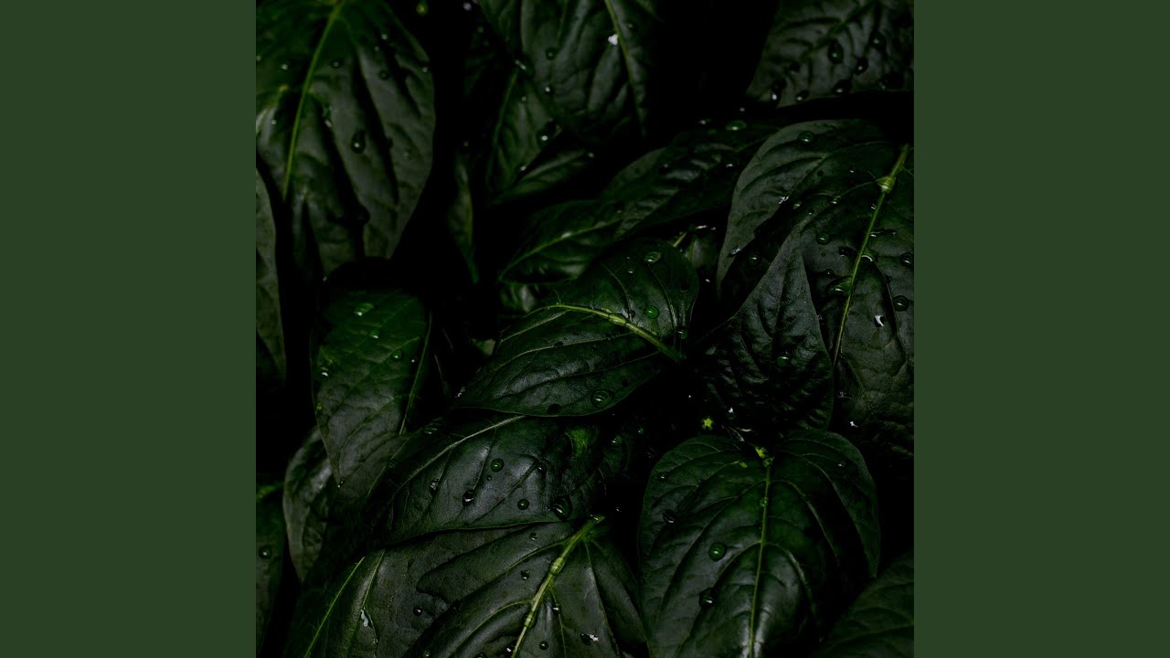 Guarda Changes su YouTube Guarda Changes su YouTube