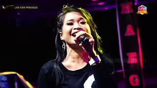 Download Lagu PRIMAEGA MELAS YA ASIH -    Welas Asih - Voc Idolane Enyong -  Aidha Gonzales MP3 Download Lagu PRIMAEGA MELAS YA ASIH -    Welas Asih - Voc Idolane Enyong -  Aidha Gonzales MP3