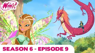 Winx Club  FULL EPISODE | Shrine of the Garden Dragon | Season 6 Episode 9
