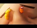 HUMAN BODY - Larva | Crazy Cartoons | WildBrain Cartoons