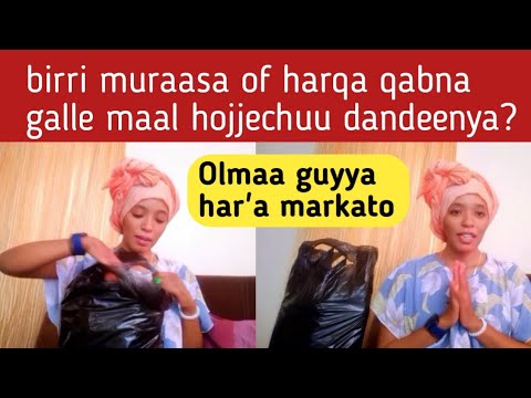 Olmaa Keenyaa Guyyaa Har A Markato Birri Muraasa Of Harka Qabana Gallee Maal Hojjechuun Danda A