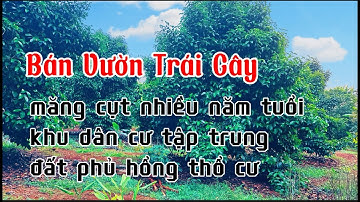 cần bán gấp vườn măng cụt nhiều năm tuổi phủ hồng thổ cư ở bà rịa vũng tàu