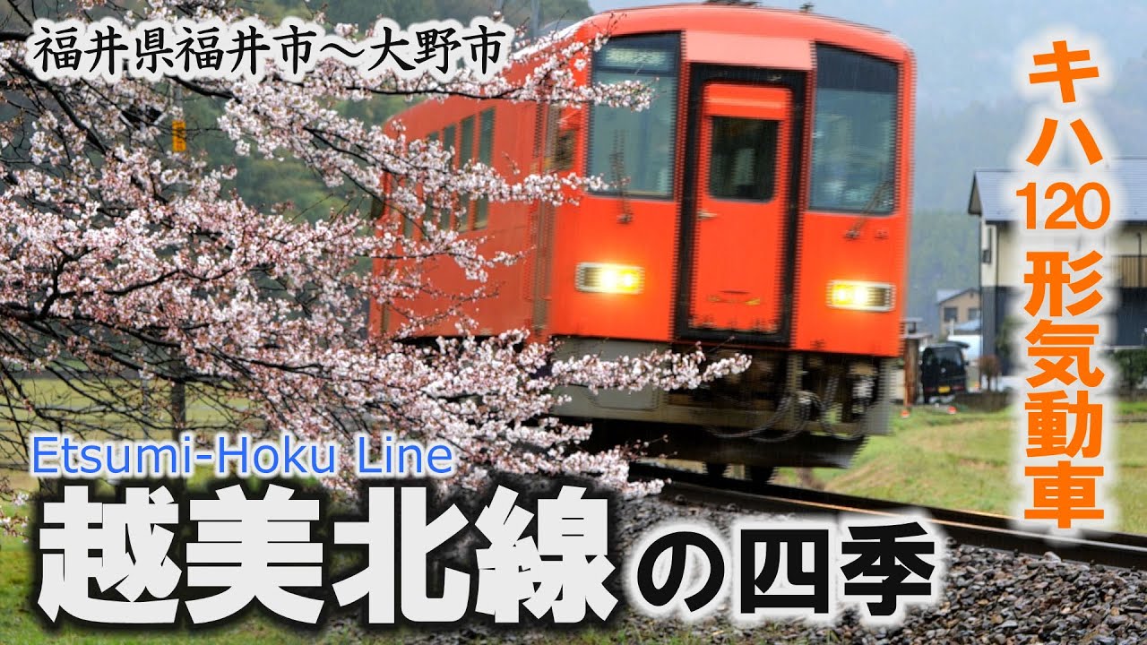 キハ120形気動車が走る「越美北線の四季」菜の花や桜から紅葉、雪景色へ～福井市・大野市【動画紀行・福井県】 Etsumi-Hoku Line