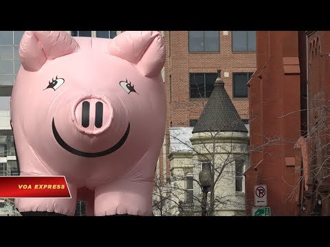 Video: Thị trường Ngày lễ ở Washington, DC, Khu vực