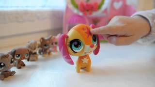 Littlest Pet Shop. Петшопы. LPS. 20 серия. Супер петшоп.(Littlest Pet Shop ;Петшопы. LPS. 20 серия. Новый Супер петшоп. Смотрите и тогда узнаете, почему это супер петшоп. Коммен..., 2012-10-21T20:59:33.000Z)