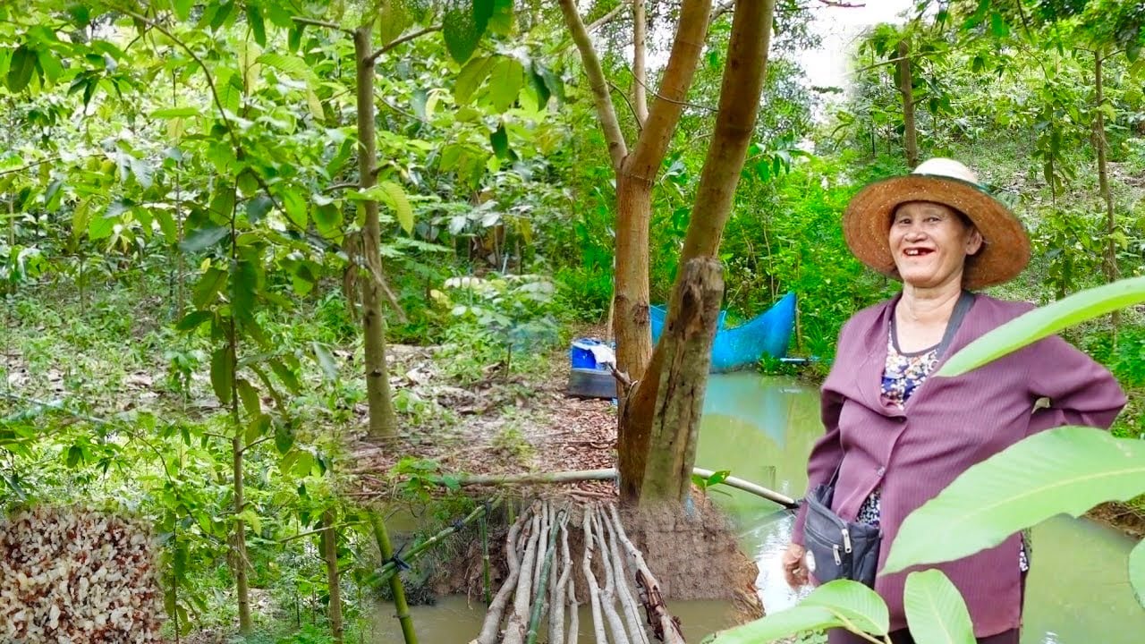คุณยายวัย 67ปี ปลูกป่าบนพื้นที่ 2ไร่ ผ่านไป4 5ปี มีอาหารป่ากินเพียบ ทำแบบนี้เป็นผลดีชั่วลูกชั่วหลาน!