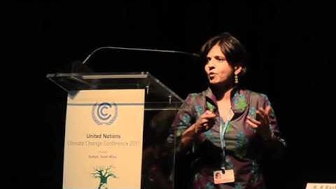 COP17 Durban: CSE EVENT - Sunita Narain