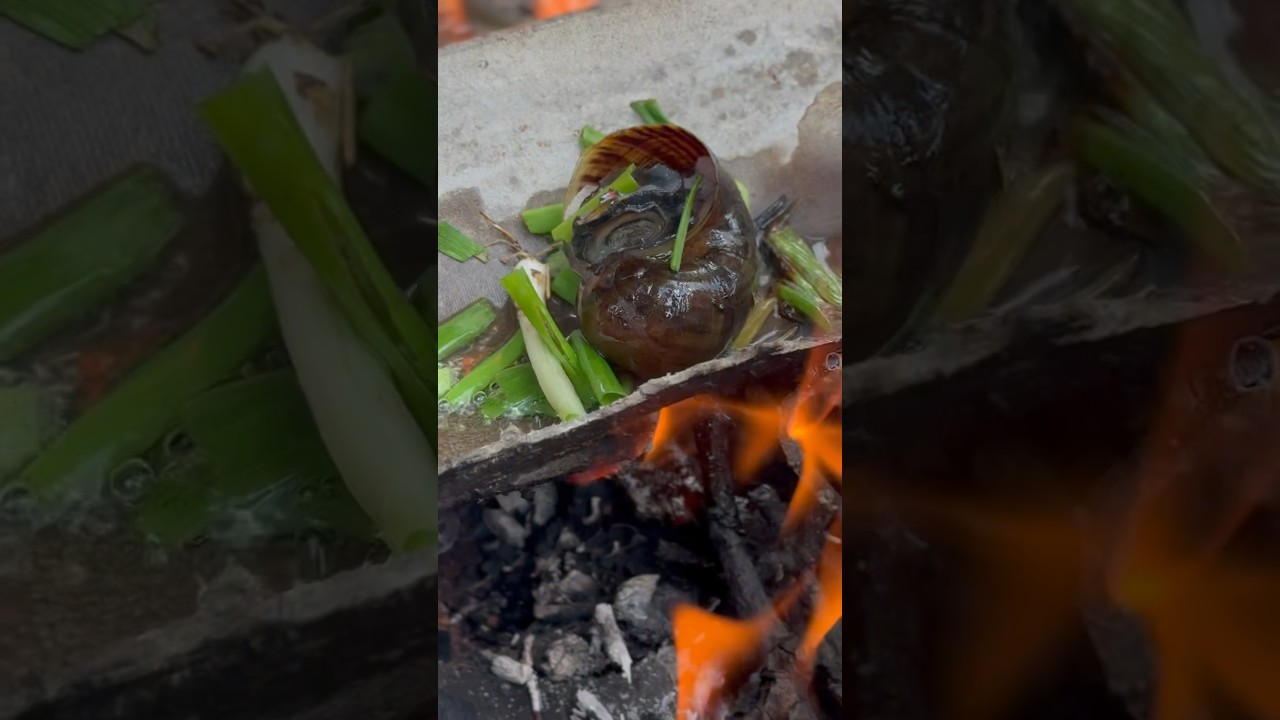 Grilled Golden Apple Snails for Everyone 