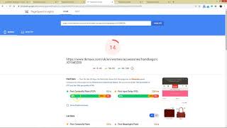 Page Speed Insight 100 100 SEO importance in 2020
