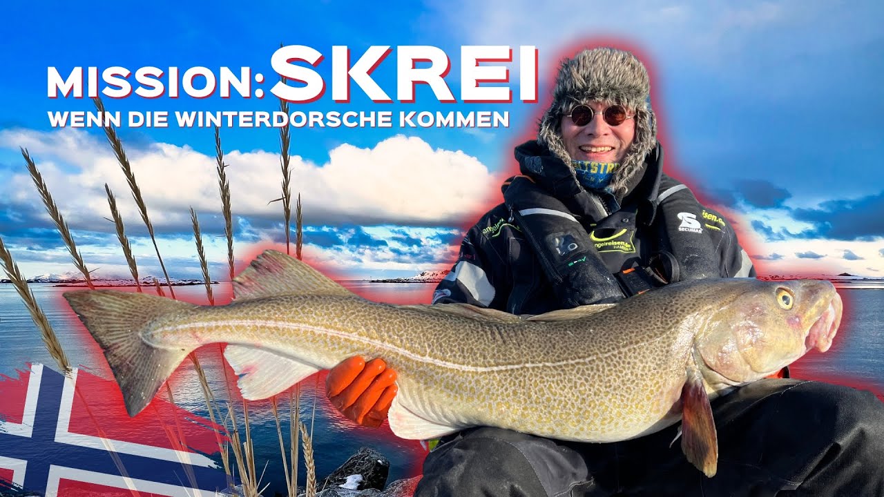 Angeln in Norwegen: Vinjesjøen Rorbuer - Mission Skrei - Die Winterdorsche kommen!