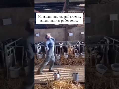 #юмор #шуточное #дуэт