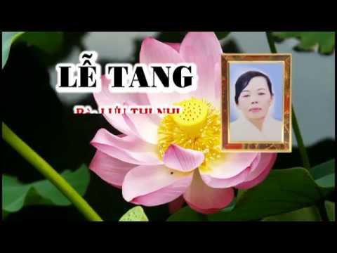 Video DAM TANG BA LUU THI NHI PHAN 1 - youtube