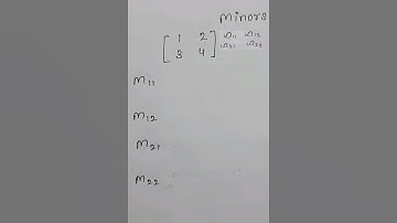 How to find "Minors" | Maths |12th |B.com |BBA |BCA # viral #shorts #youtubeshorts