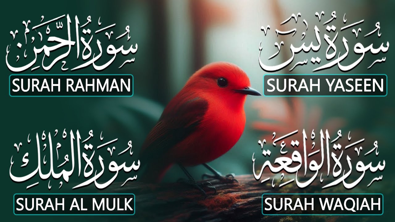 THeart Touching Quran Recitation That Moves The Soul | Surah Yasin Ar-Rahman Al-Waqiah Al-Mulk