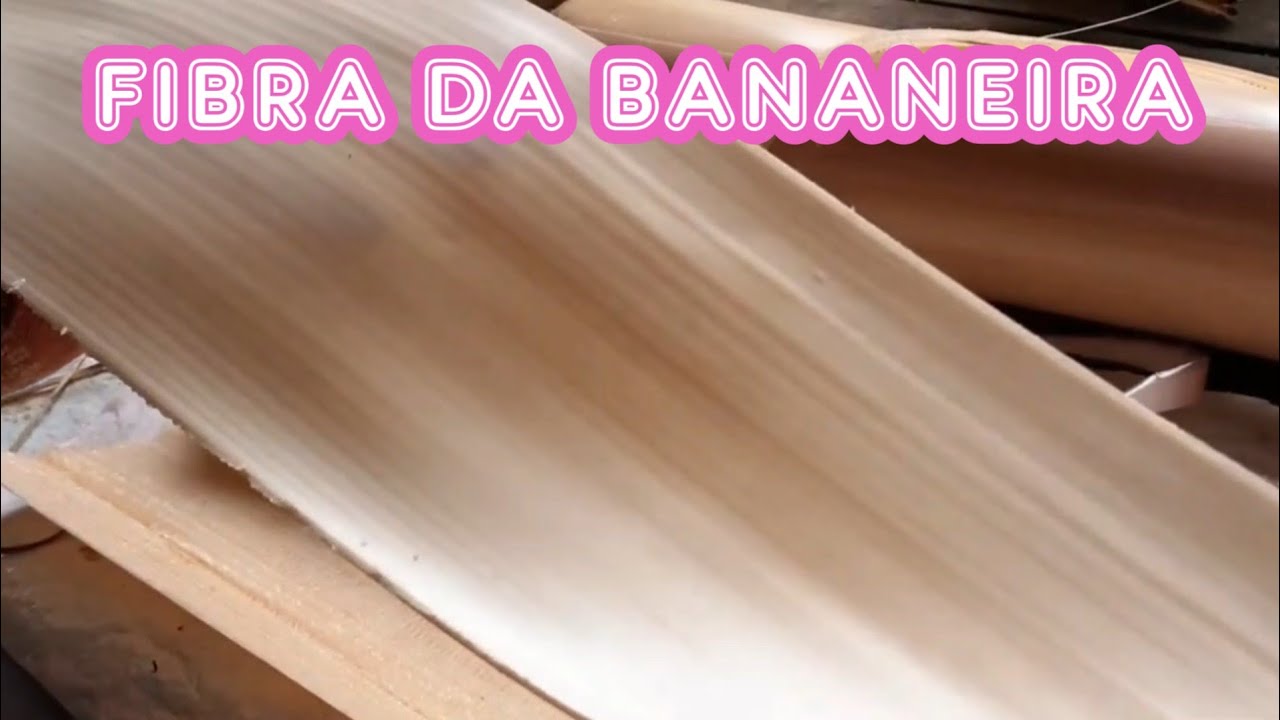 Fibra da bananeira o processo para secar