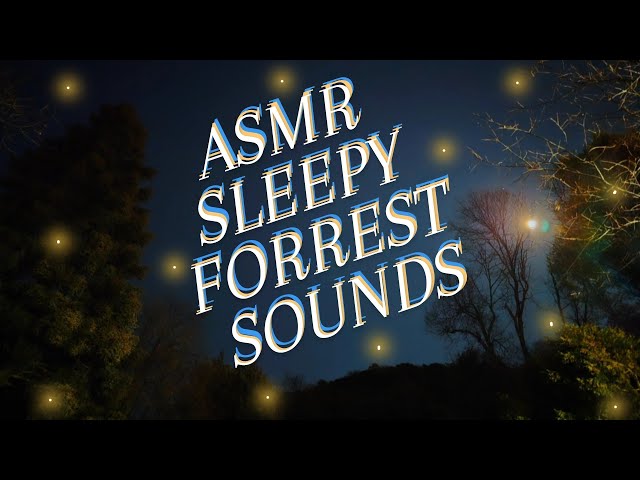 [ASMR] Sleepy Forrest Ambience 🌲🌌🌙😴 (No Talking/Audio Only)