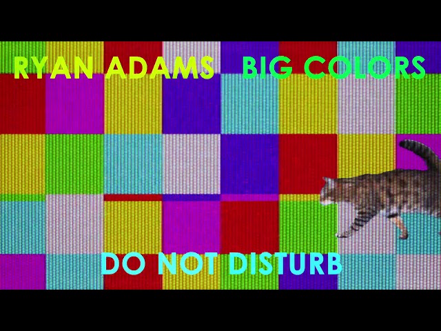 Ryan Adams - Do Not Disturb