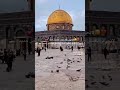 يا قدسي حالات واتساب القدس2021