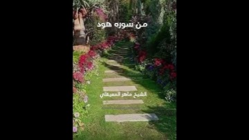 من سورة هود الشيخ ماهر المعيقلي #fypage #fypシ #islam #القرآن_الكريم_راحة_نفسية #viral # #foryou