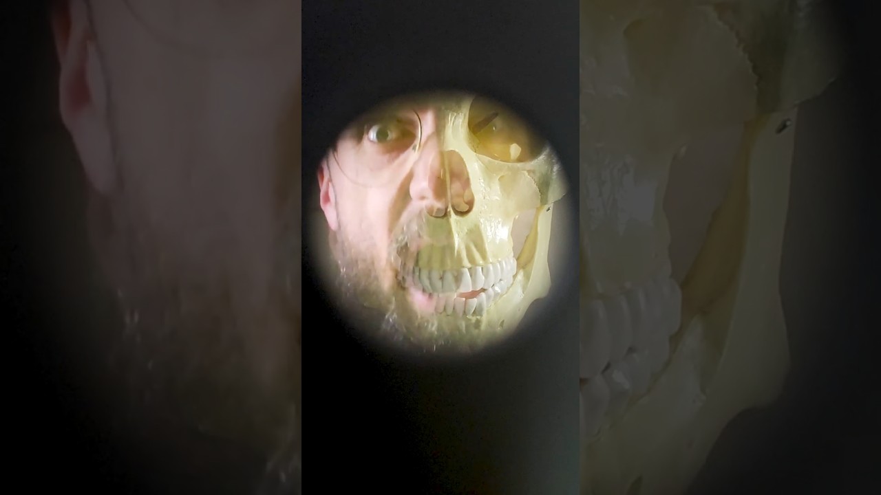 Vsauce