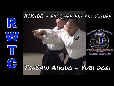 Finger locks - PPF TenShin Aikido Yubi Dori #takingaikidoback