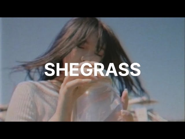 Guarda 是猫 - SHEGRASS su YouTube Guarda 是猫 - SHEGRASS su YouTube