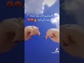 يحوبونا طايحين يحبو يشوفو دمعاتنا 