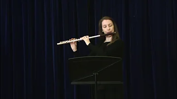 French Folk Song (Flute Solo) The Young At Heart Flute Player