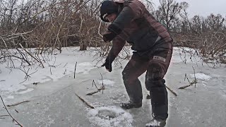 Под лункой ЗАТОПЛЕННЫЙ ЛЕС! Рыбалка на судака в лютом КОРЯЖНИКЕ