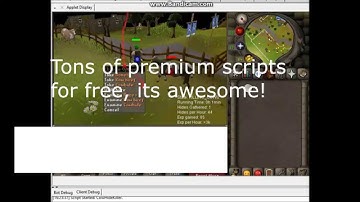 OSBot for 2007scape - No bans! Be rich with absolutely no work![FREE PREMIUM SCRIPTS]