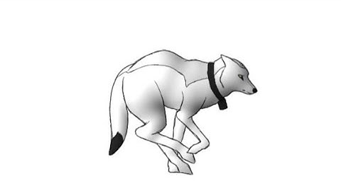 Wolf Run animation cycle - Animation time lapse video