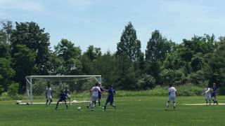 IMG 7833