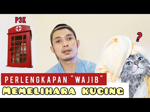 HAL-HAL YANG PERLU