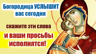 видео: Молитва Богородице 28 октября: Сильная помощь в самый трудный день! 🙏 картинка: Молитва Богородице 28 октября: Сильная помощь в самый трудный день! 🙏