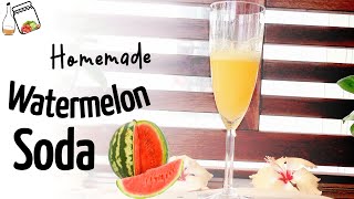 Home Made Watermelon Soda | | Make Probiotic Rich Naturally Carbonated Soda