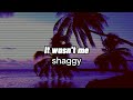 Shaggy-It Wasn