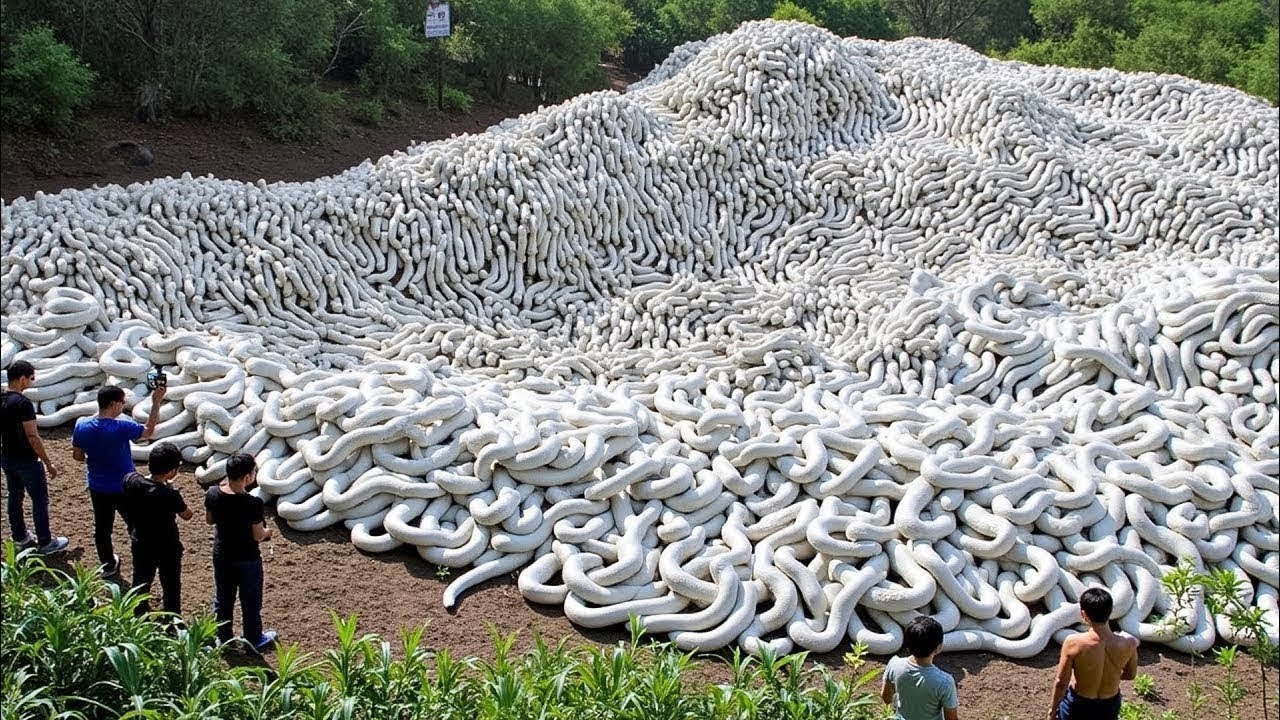 Die 15 seltsamsten Dinge, die gerade passieren, gefilmt von Kameras