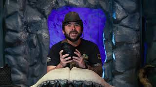 Dinomania and the magical egg FULL VERSION