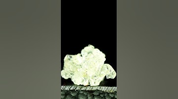 burning Swift Bird Nest in macro #smartcloseup #asmr