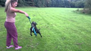 Slow Motion Bullstaff Training
