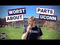 The worst parts about uconn  university of connecticut  campus interviews  ltu