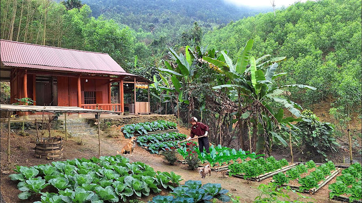 Full video: mountain gardening.planting pumpkins, potatoes and harvesting vegetables.Loan Bushcraft.