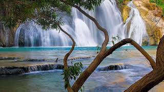 MagiCXbeats - Tenderness (Waterfall Version)