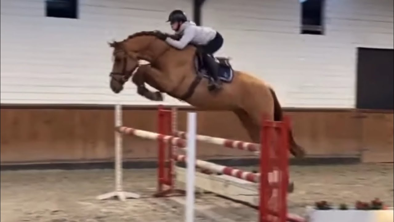 Take That under saddle Europe