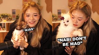 Nabi Gets Jealous of Beni Kissing Miyoung