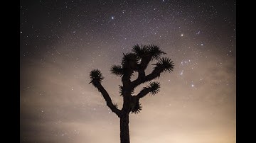 Joshua Tree Astro Timelapse - Jumbo Rocks Campground