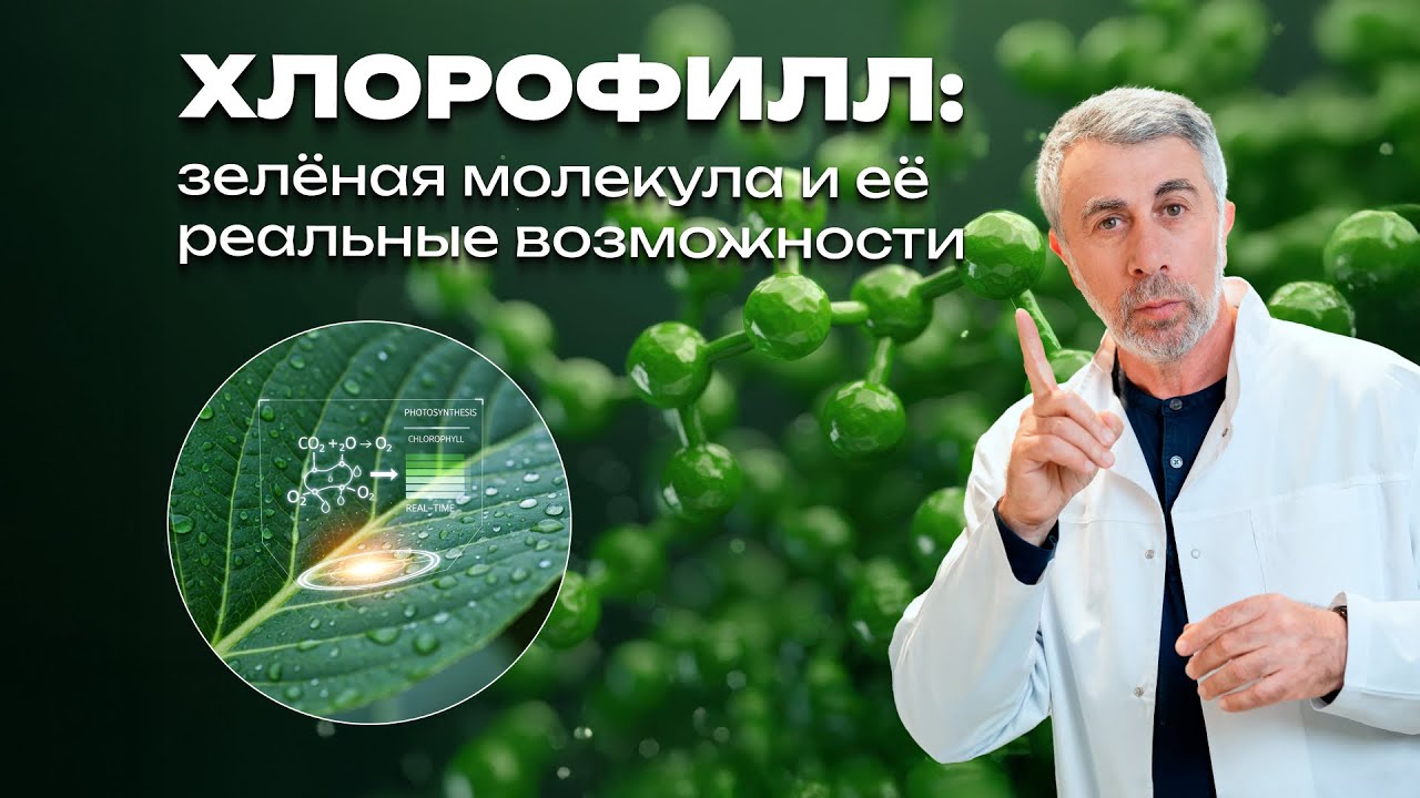Хлорофилл, хлорелла и хлорофиллипт: в чем разница и есть ли польза?