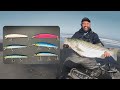 Lure Selection 101: Choosing the right lure and color for Surf Perch and Striped Bass